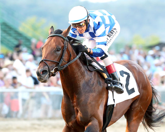 BRACKET BUSTER - The West Virginia Governor's Stakes - 08-09-26 - R07 - MNR - Inside Finish 01