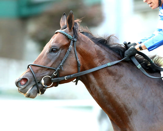 BRACKET BUSTER - The West Virginia Governor's Stakes - 08-09-26 - R07 - MNR - Inside Finish 02