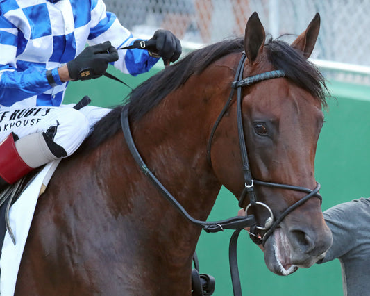 BRACKET BUSTER - The West Virginia Governor's Stakes - 08-09-26 - R07 - MNR - Post Parade 01