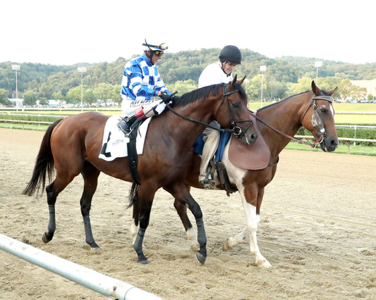BRACKET BUSTER - The West Virginia Governor's Stakes - 08-09-26 - R07 - MNR -Post Parade 02