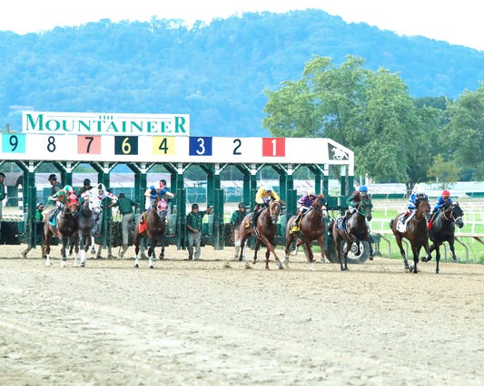 BRACKET BUSTER - The West Virginia Governor's Stakes - 08-09-26 - R07 - MNR - Start 01