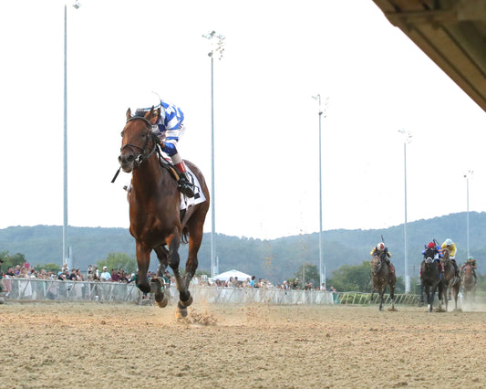 BRACKET BUSTER - The West Virginia Governor's Stakes - 08-09-26 - R07 - MNR - Under Rail 01