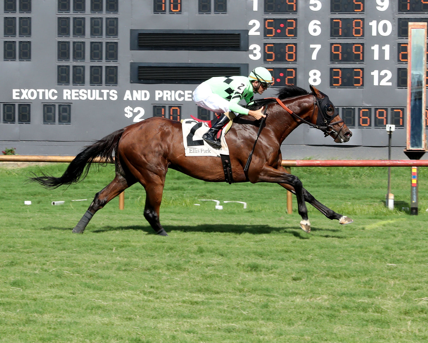 BRILLIANT BERTI - 080226 - Race 10 - ELP  Finish 01