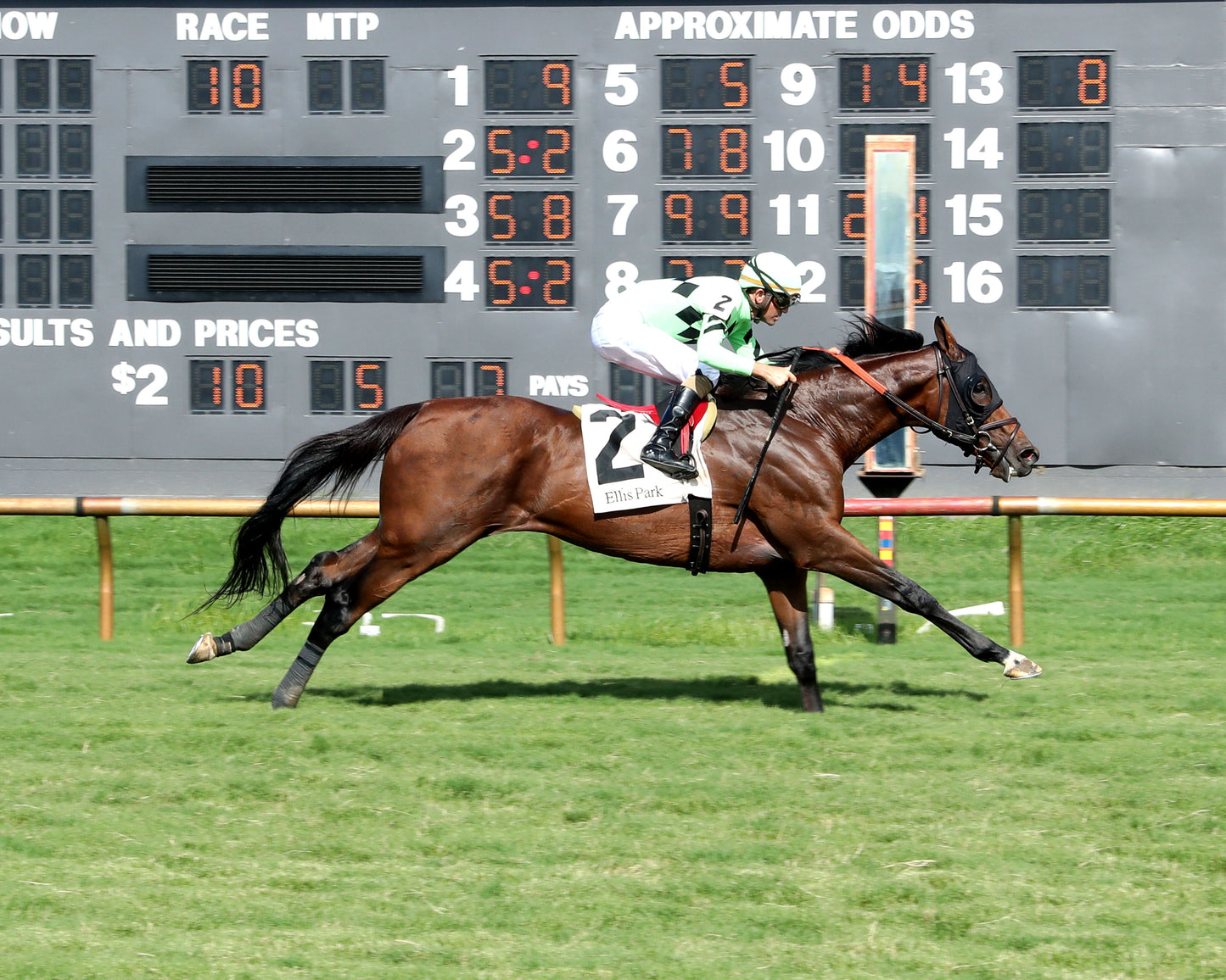 BRILLIANT BERTI - 080226 - Race 10 - ELP  Finish 02