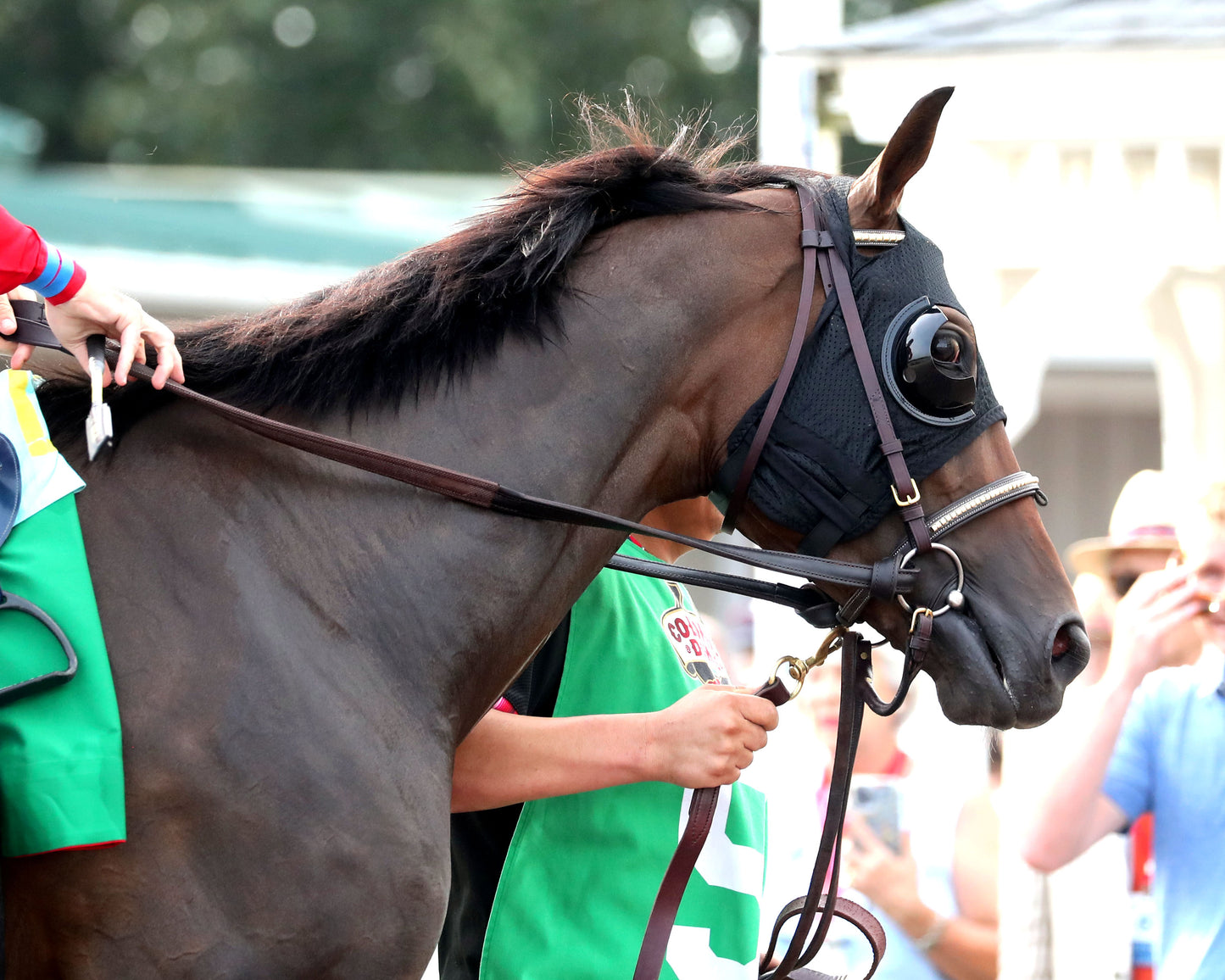 BURNHAM SQUARE - The Arlington Million G1 - 08-01-26 - R11 - CNL - Paddock 02