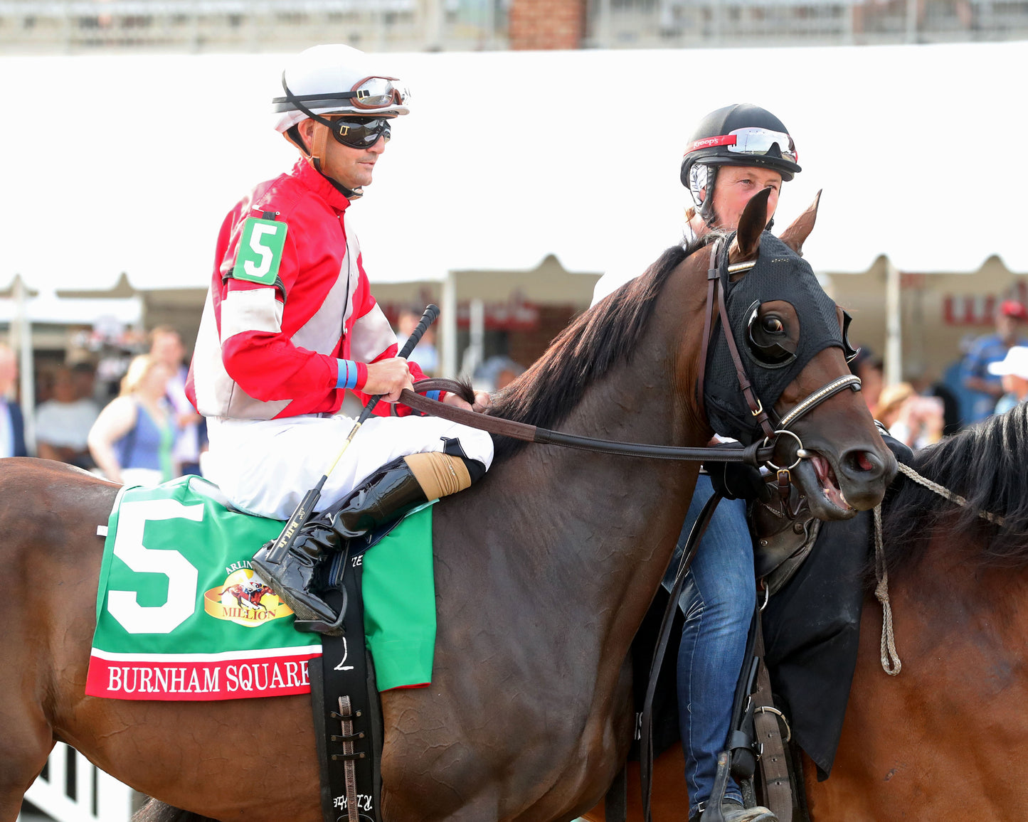 BURNHAM SQUARE - The Arlington Million G1 - 08-01-26 - R11 - CNL - Paddock 03