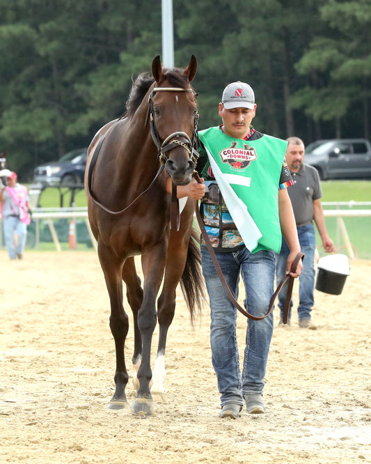 BURNHAM SQUARE - The Arlington Million G1 - 08-01-26 - R11 - CNL - Walk Over 01