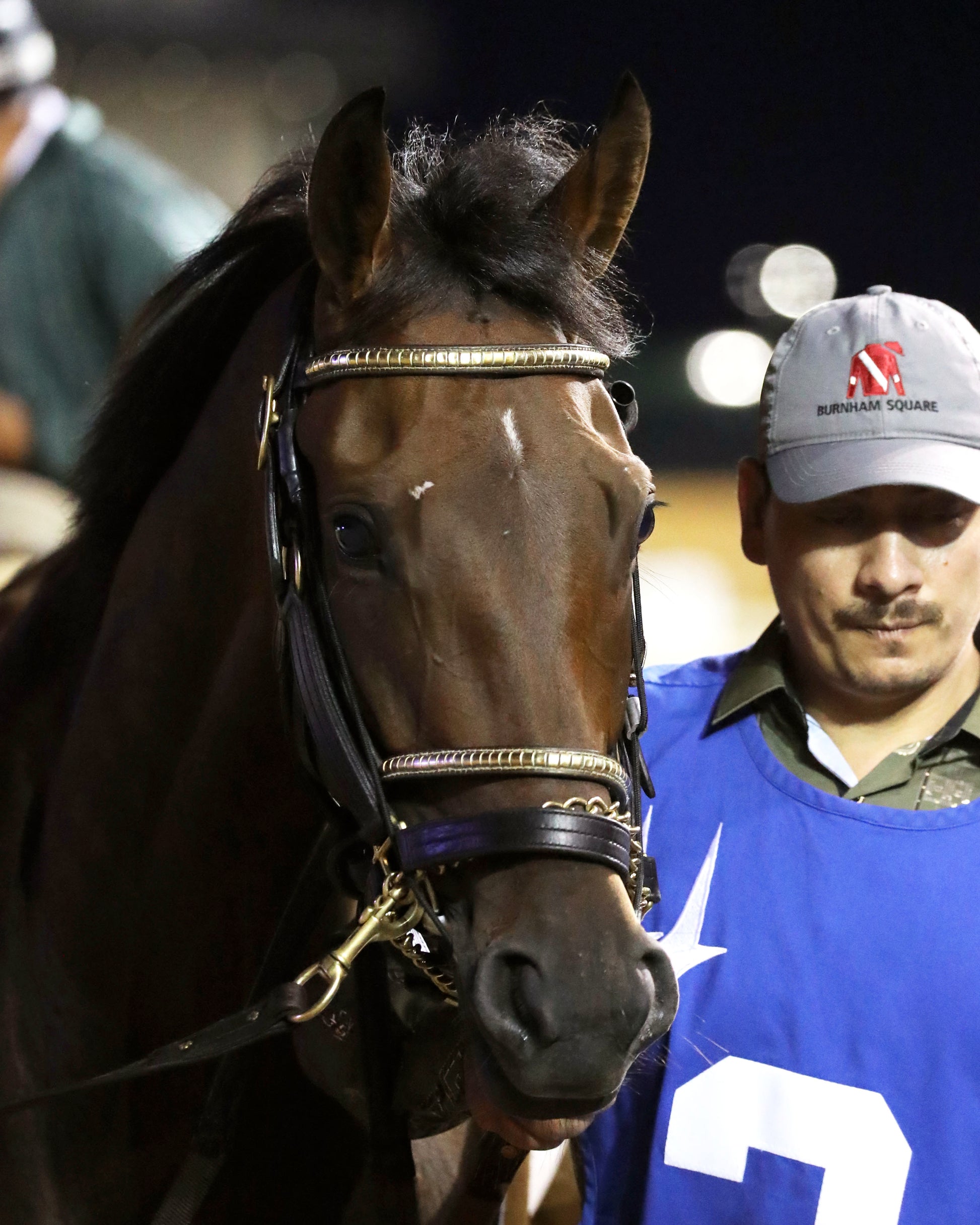 BURNHAM SQUARE - The Louisville G3 - 05-16-26 - R08 - CD - Paddock 01 - Coady Media - Kurtis Coady Photography