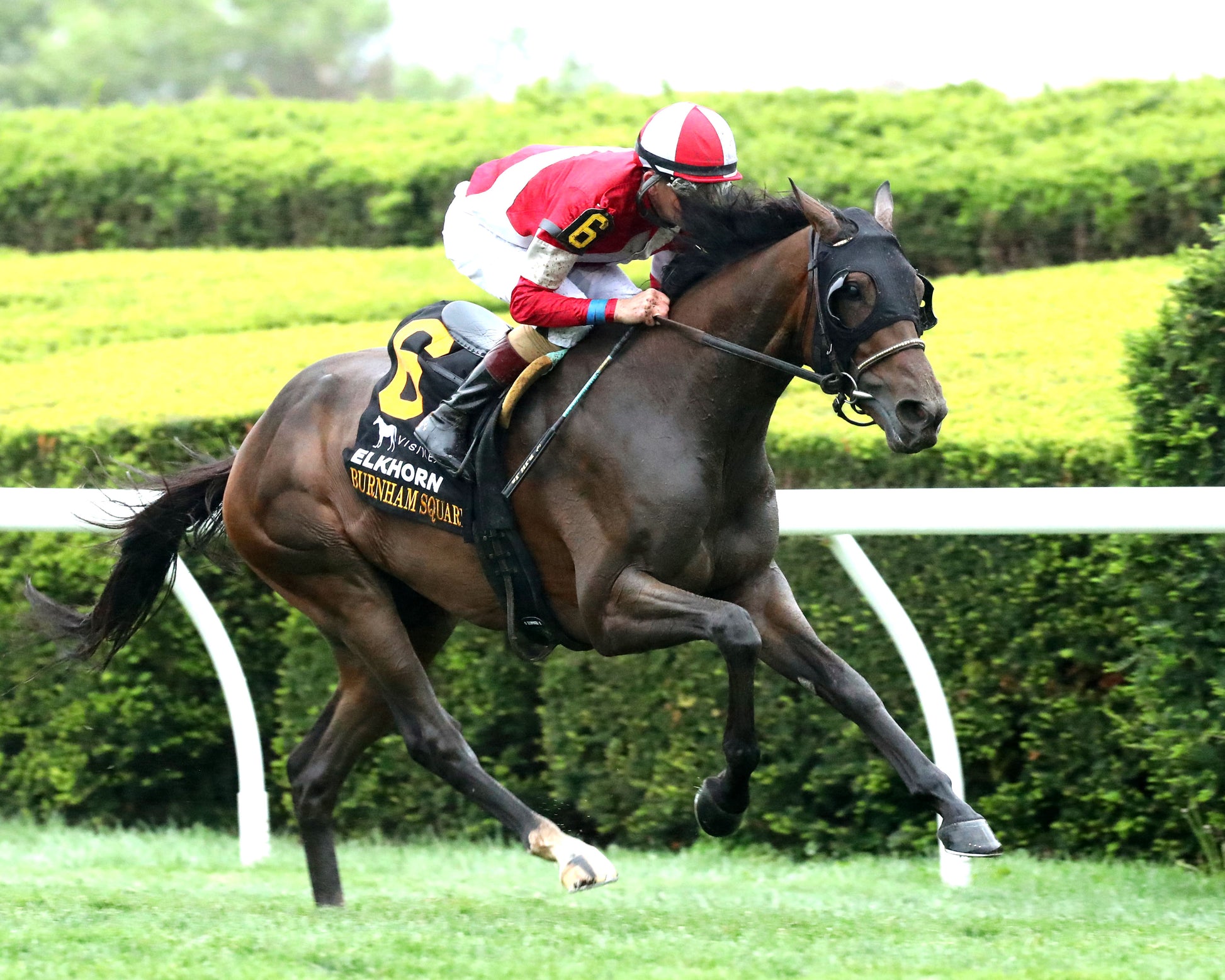 BURNHAM SQUARE - 041826 - Race 10 - KEE  The VisitLEX Elkhorn G2 - Finish 02 - Coady Media - Kurtis Coady Photography