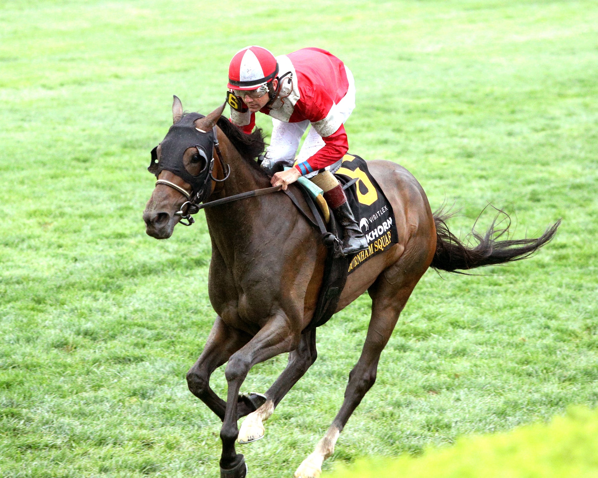 BURNHAM SQUARE - 041826 - Race 10 - KEE  The VisitLEX Elkhorn G2 - Inside Finish 01 - Coady Media - Kurtis Coady Photography