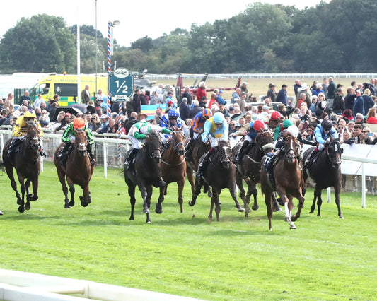 BACIO - 08-21-26 - York Racecourse - York GB - Up Track 01