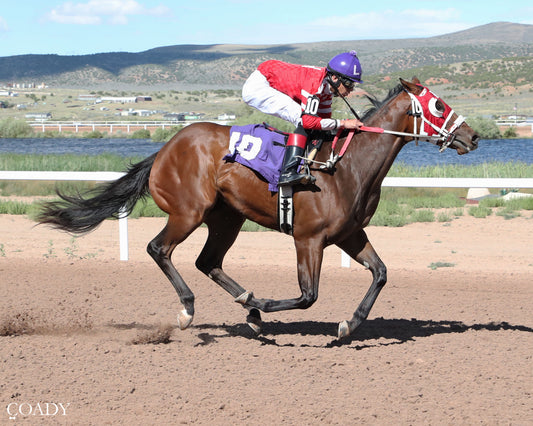 CAPS AND CARNAGE - Sue Wallis Memorial TB Futurity - 06-28-26 - R10 - WYO