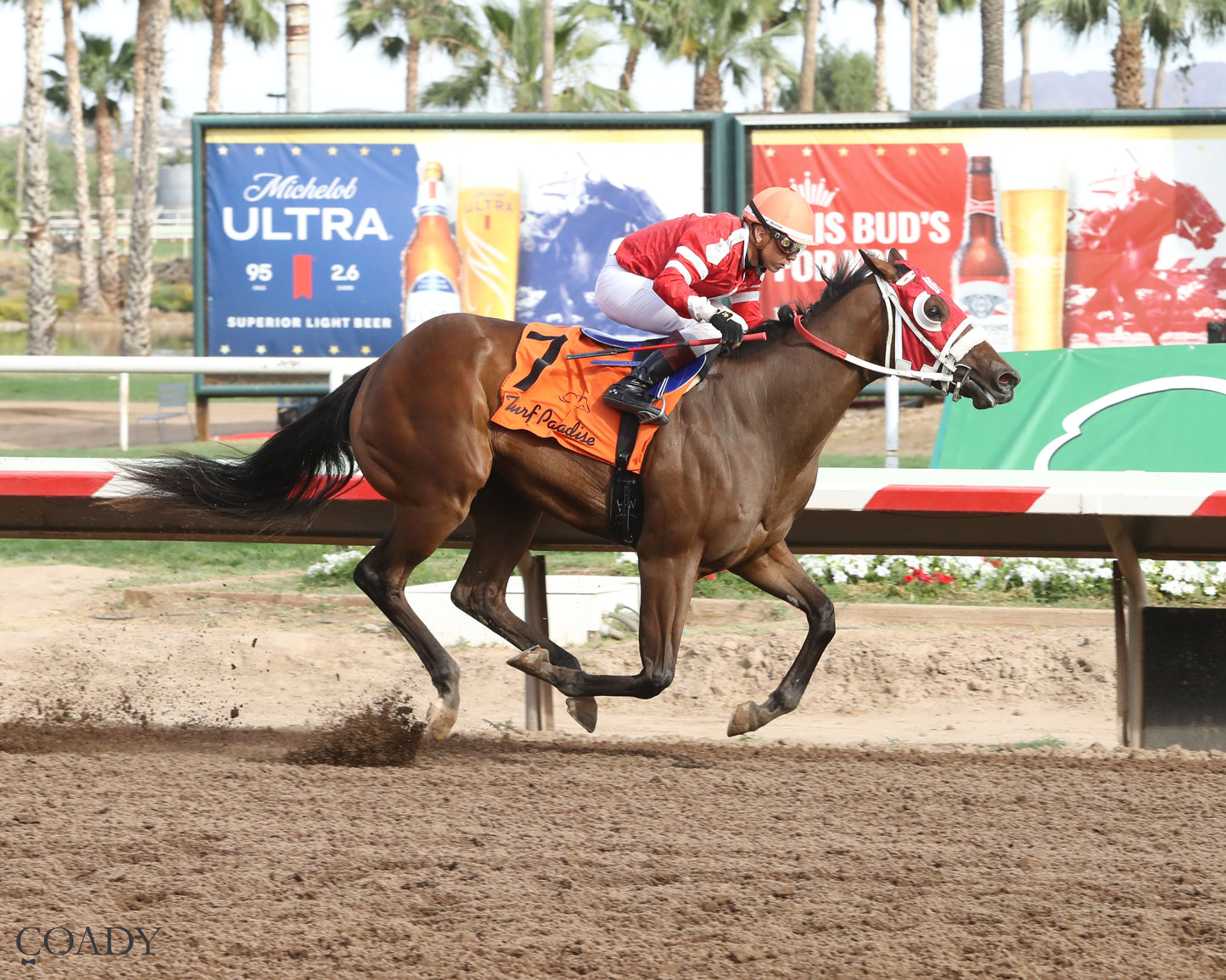 CAPS AND CARNAGE - Turf Paradise Open Spring Futurity - 05-02-26 - R09 - TUP- Finish - Coady Media - Kurtis Coady Photography