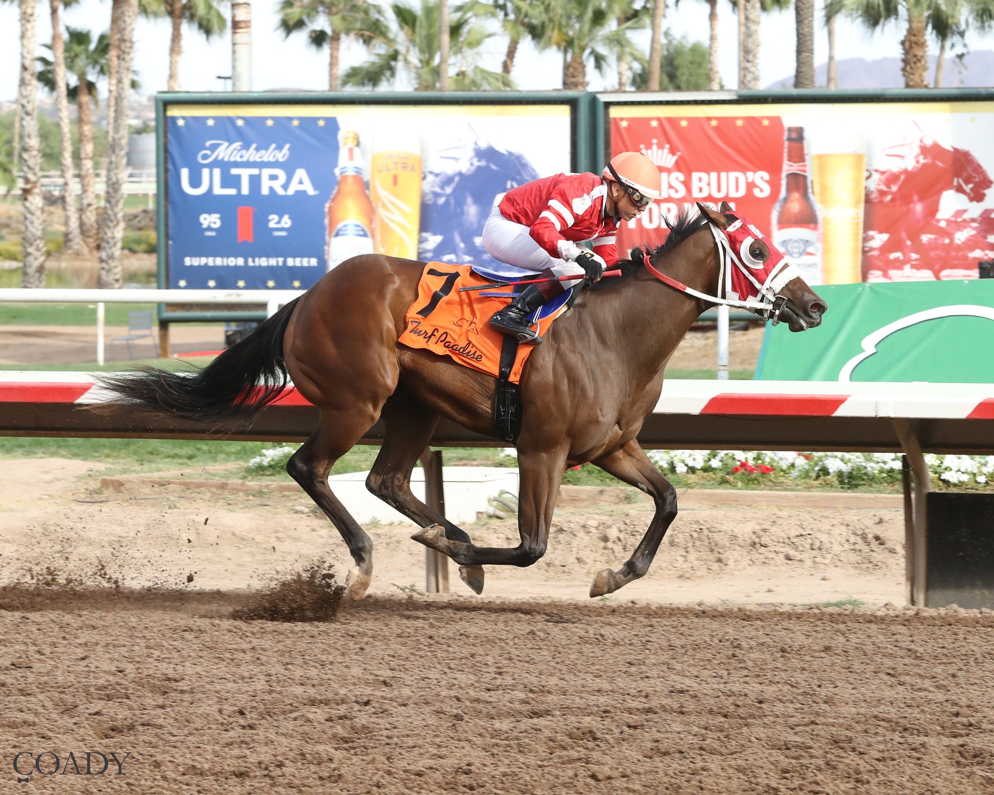 CAPS AND CARNAGE - Turf Paradise Open Spring Futurity - 05-02-26 - R09 - TUP- Finish - Coady Media - Kurtis Coady Photography