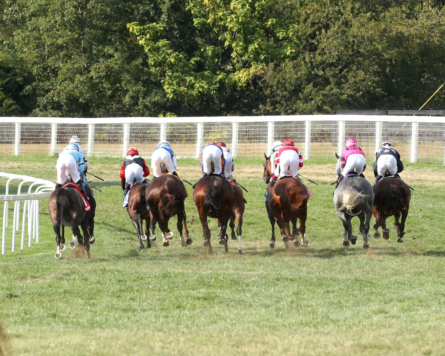 CAROLINE ST. BEAT - Nashville Derby Invitational G2 - 09-05-26 - R08 - KD - Start 02