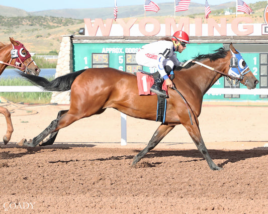 CARTEL CAN FLY - AQHA 870 Challenge Trials  - 07-02-26 - R10 - WYO