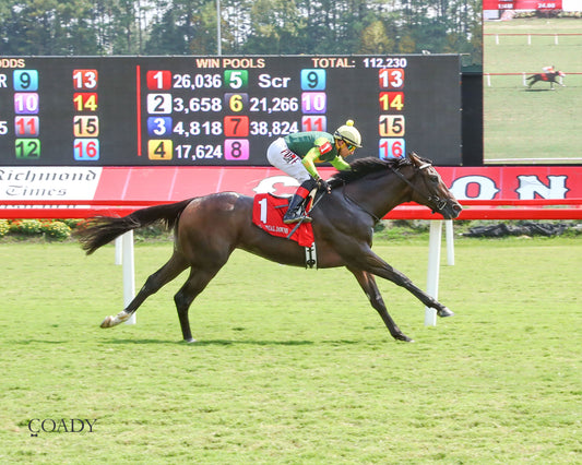 CASA CIELO - The Kitten's Joy Stakes - 09-06-25 - R05 - CNL - Finish 01 - Coady Media - Kurtis Coady Photography