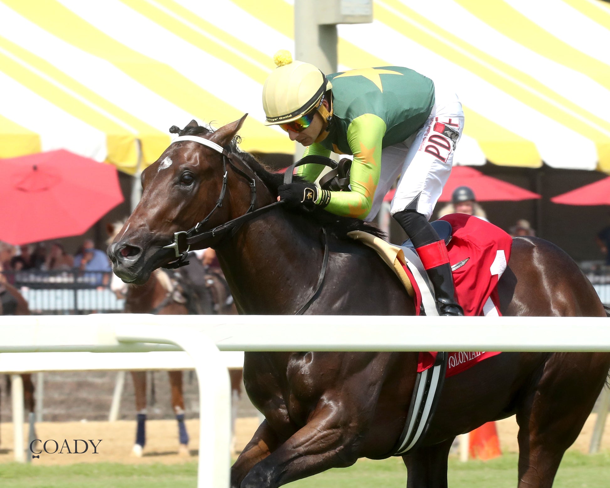 CASA CIELO - The Kitten's Joy Stakes - 09-06-25 - R05 - CNL - Inside Finish 01 - Coady Media - Kurtis Coady Photography