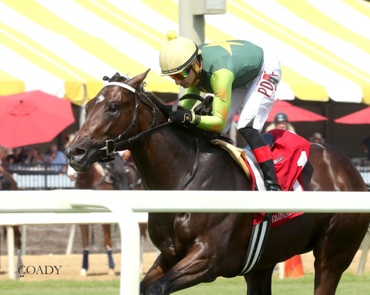 CASA CIELO - The Kitten's Joy Stakes - 09-06-25 - R05 - CNL - Inside Finish 01 - Coady Media - Kurtis Coady Photography