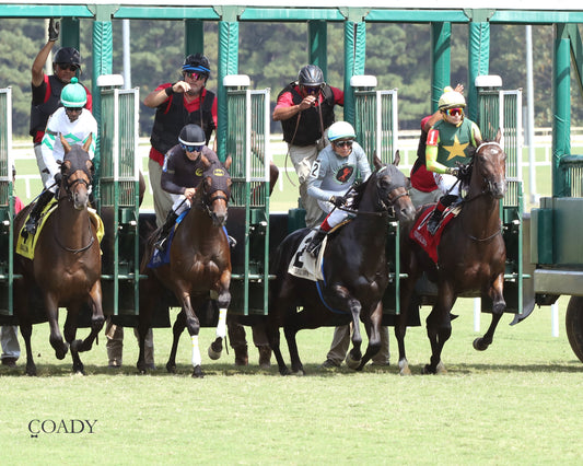 CASA CIELO - The Kitten's Joy Stakes - 09-06-25 - R05 - CNL - Start 01 - Coady Media - Kurtis Coady Photography