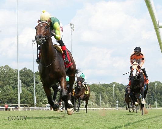 CASA CIELO - The Kitten's Joy Stakes - 09-06-25 - R05 - CNL - Under Rail 01 - Coady Media - Kurtis Coady Photography