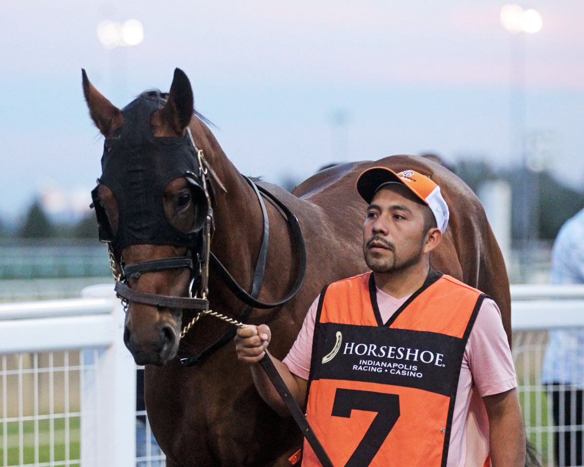 CASH PER TRIP - Circle City - 26th Running - 09-30-26 - R11 - Horseshoe Indiana - Paddock 01 - Casey Cable