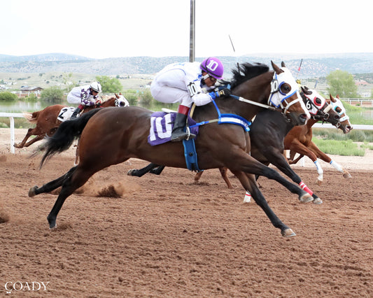 CGR JAG WIRE - Gary Waite Maiden Stakes Trials - 07-02-26 - R05 - WYO