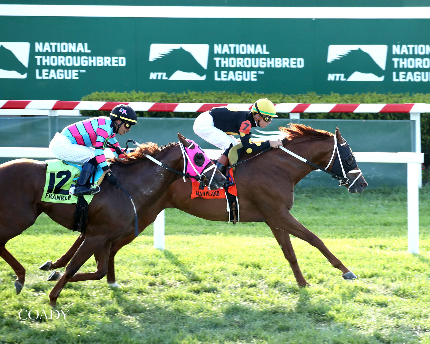 CHASING THE CROWN - The NTL Tight Spot Overnight Handicap - 08-31-25 - KD - Aerial Finish 01 - Coady Media - Kurtis Coady Photography
