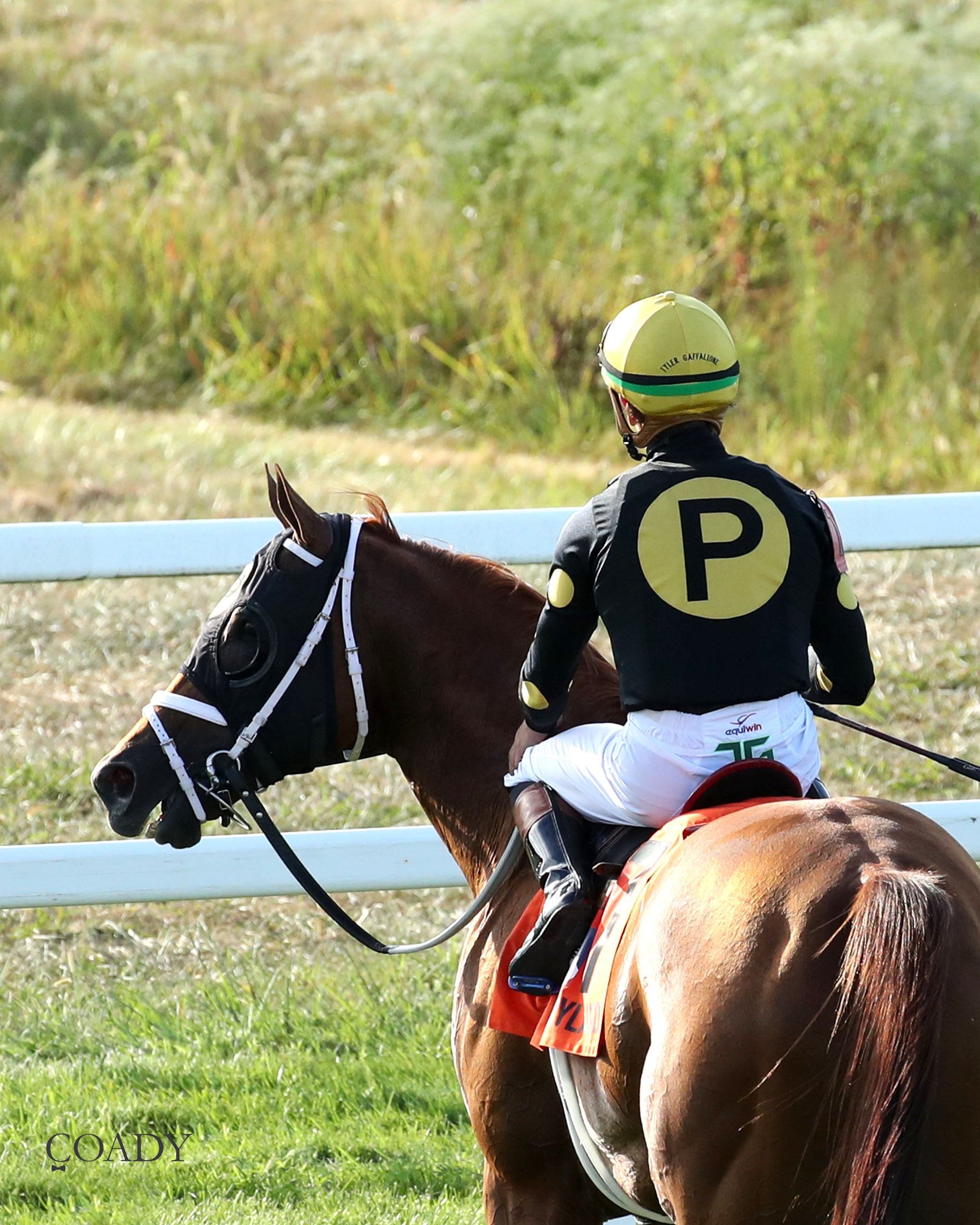 CHASING THE CROWN - The NTL Tight Spot Overnight Handicap - 08-31-25 - KD - Come Back 02 - Coady Media - Kurtis Coady Photography
