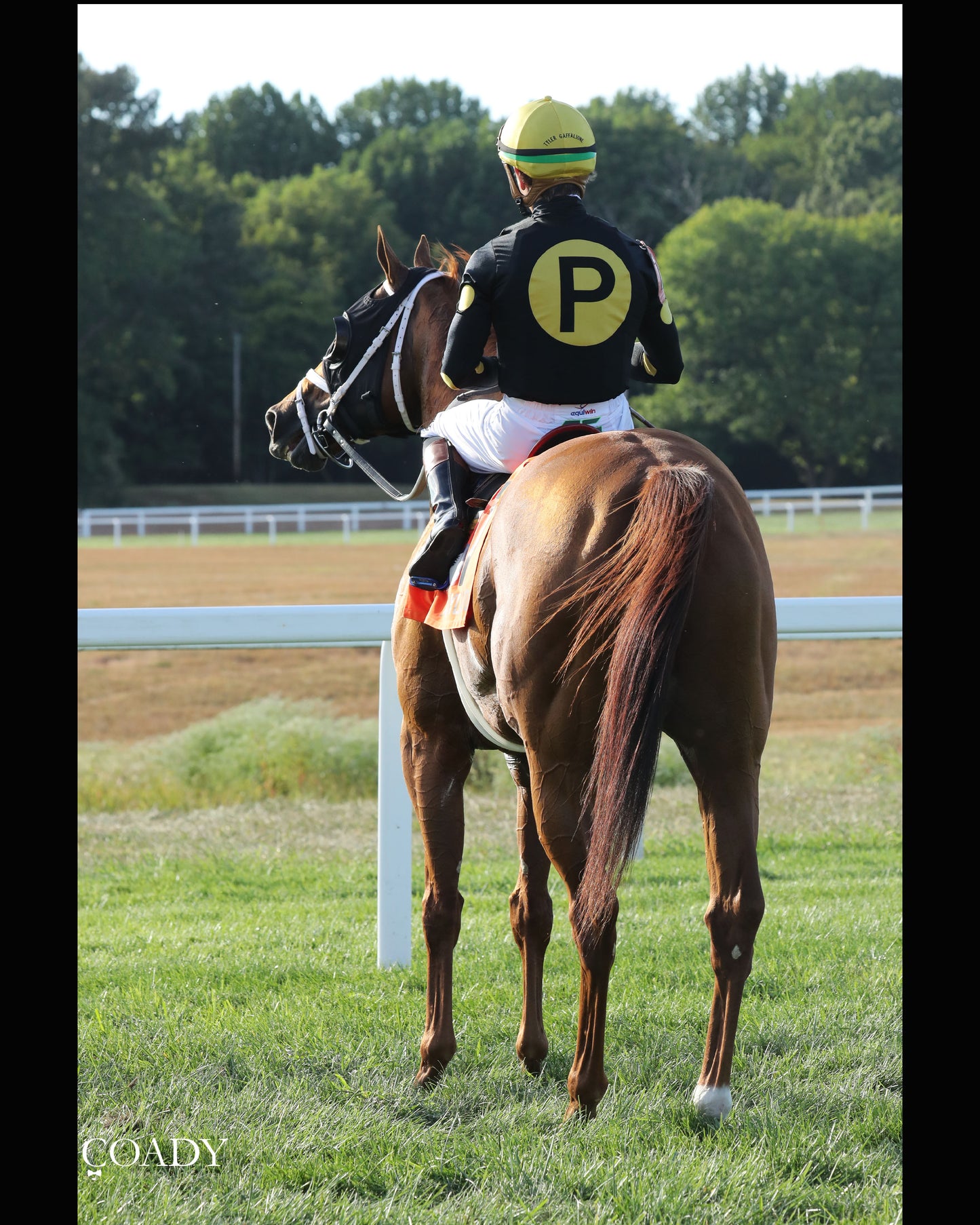CHASING THE CROWN - The NTL Tight Spot Overnight Handicap - 08-31-25 - KD - Come Back 03 - Coady Media - Kurtis Coady Photography