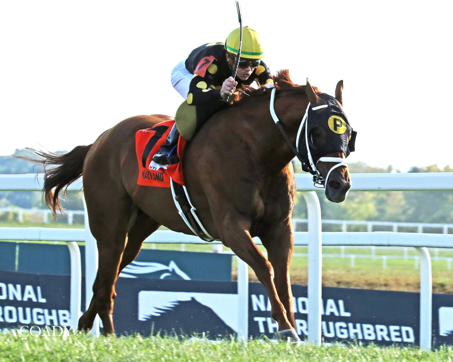 CHASING THE CROWN - The NTL Tight Spot Overnight Handicap - 08-31-25 - KD - Finish 03 - Coady Media - Kurtis Coady Photography