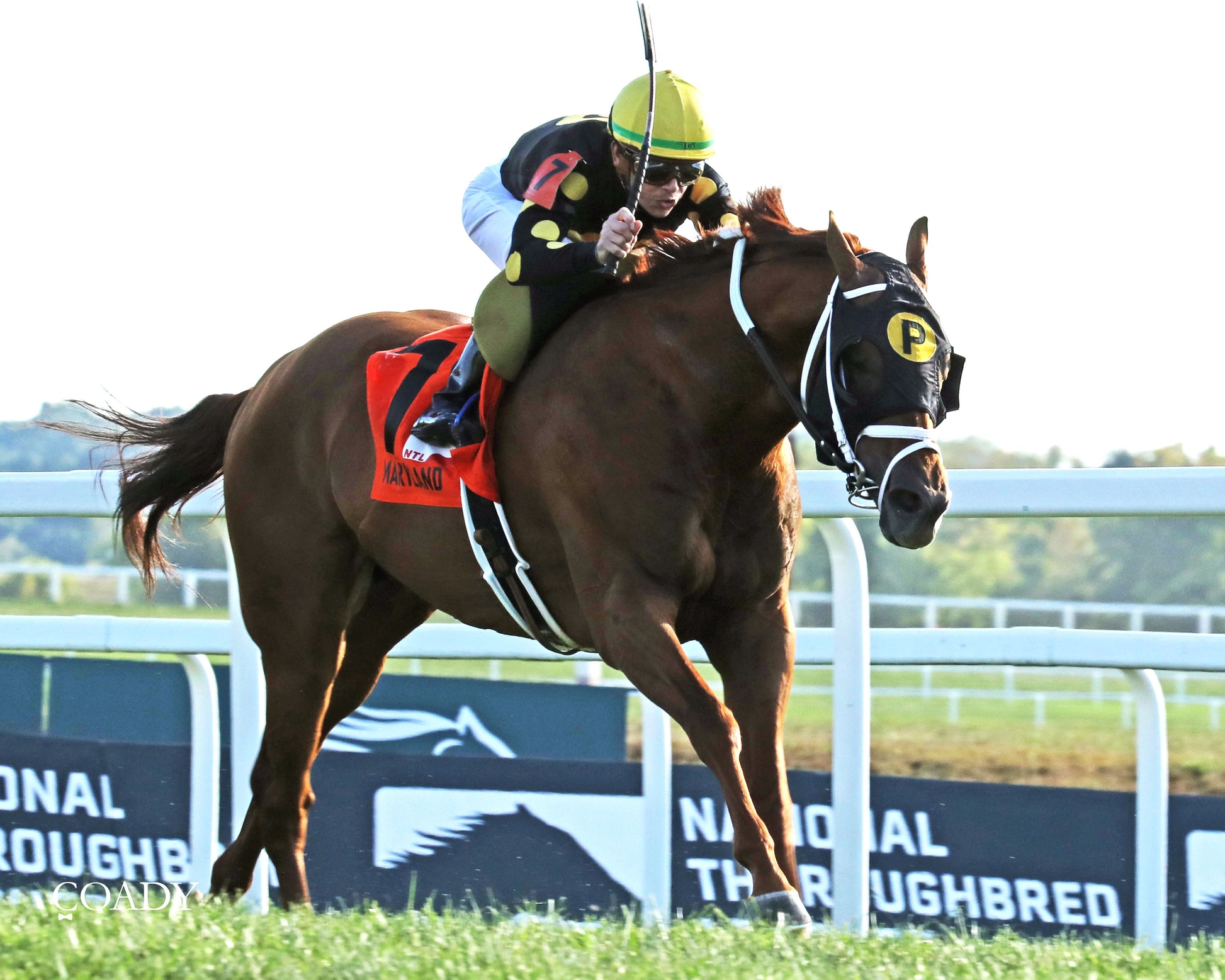CHASING THE CROWN - The NTL Tight Spot Overnight Handicap - 08-31-25 - KD - Finish 03 - Coady Media - Kurtis Coady Photography