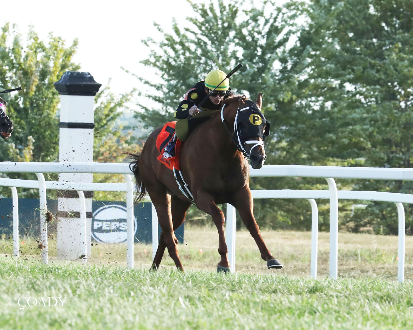 CHASING THE CROWN - The NTL Tight Spot Overnight Handicap - 08-31-25 - KD - Finish 04 - Coady Media - Kurtis Coady Photography