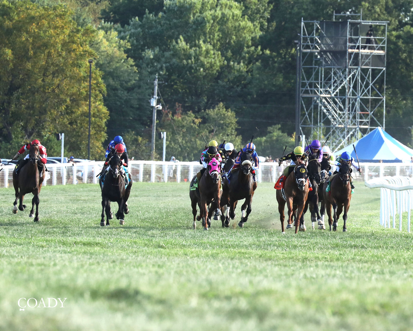 CHASING THE CROWN - The NTL Tight Spot Overnight Handicap - 08-31-25 - KD - Head On 01 - Coady Media - Kurtis Coady Photography