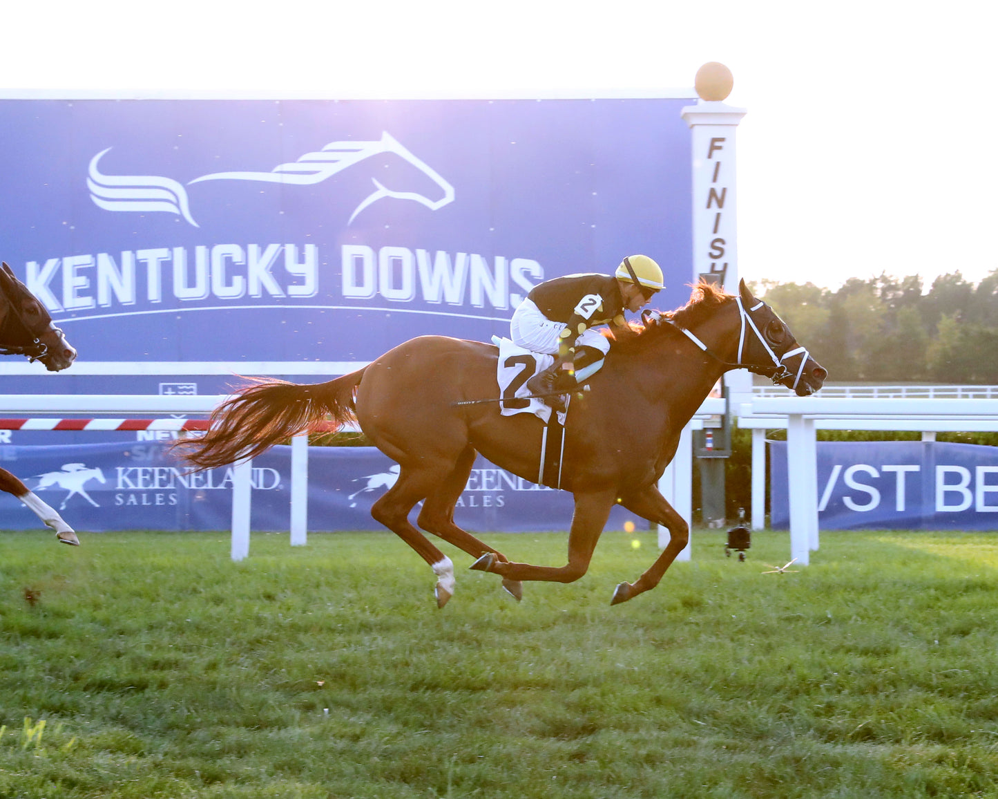 CHASING THE CROWN - The Tight Spot Overnight Handicap - 08-29-26 - R10 - KD - Finish 01