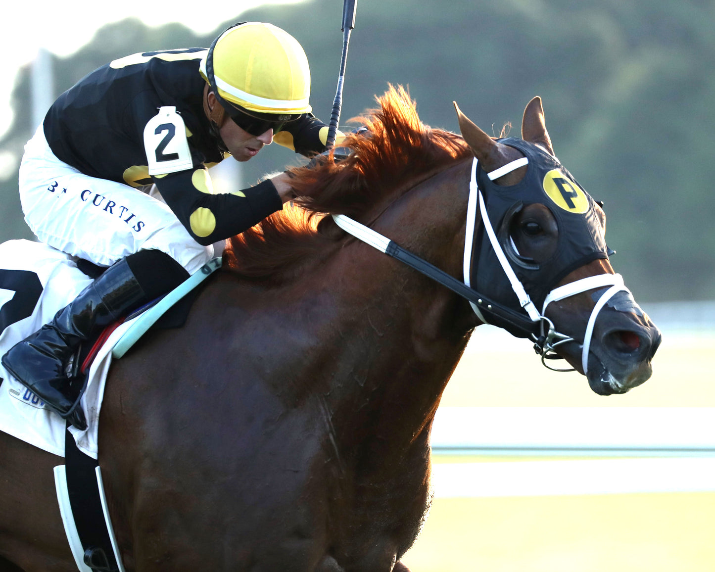 CHASING THE CROWN - The Tight Spot Overnight Handicap - 08-29-26 - R10 - KD - Finish 03