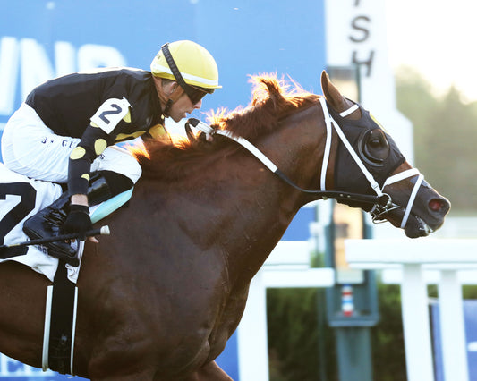 CHASING THE CROWN - The Tight Spot Overnight Handicap - 08-29-26 - R10 - KD - Finish 04