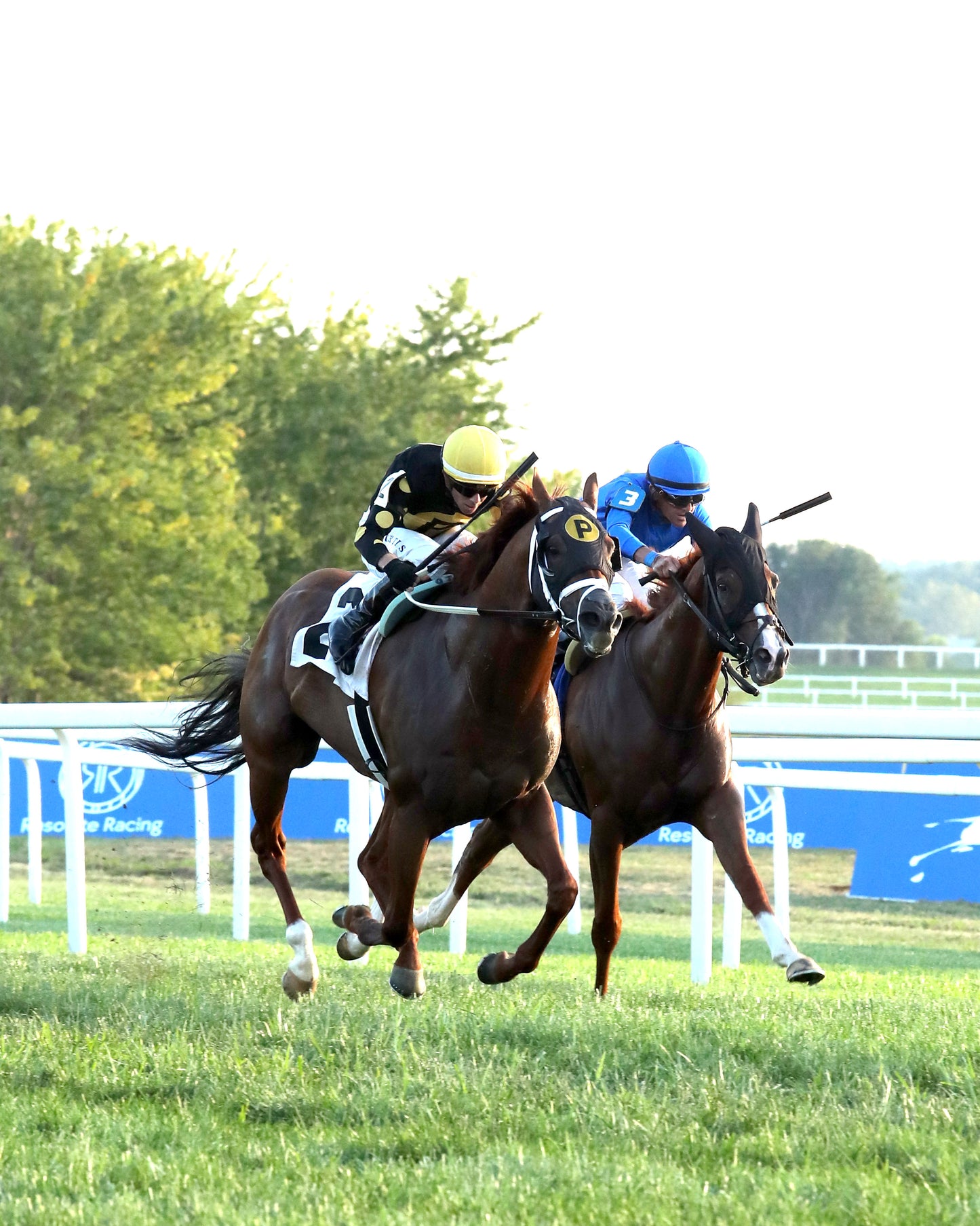 CHASING THE CROWN - The Tight Spot Overnight Handicap - 08-29-26 - R10 - KD - Finish 05
