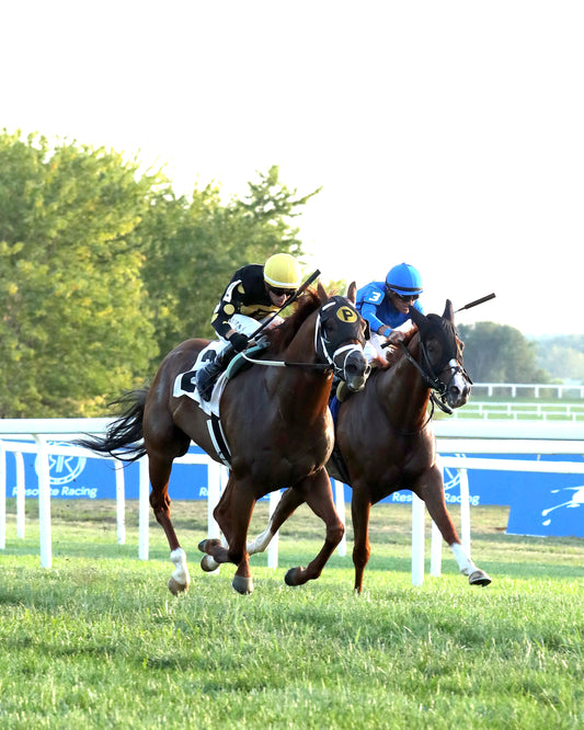 CHASING THE CROWN - The Tight Spot Overnight Handicap - 08-29-26 - R10 - KD - Finish 05