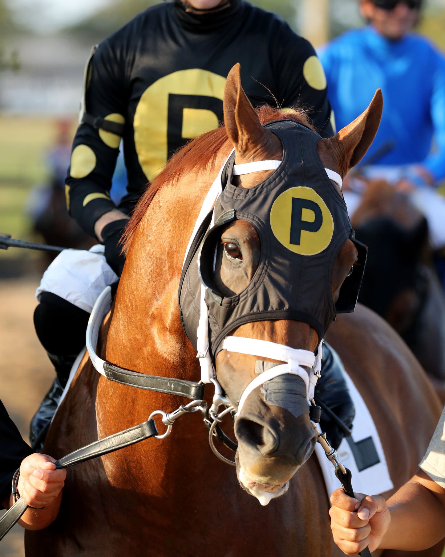 CHASING THE CROWN - The Tight Spot Overnight Handicap - 08-29-26 - R10 - KD - Paddock 01