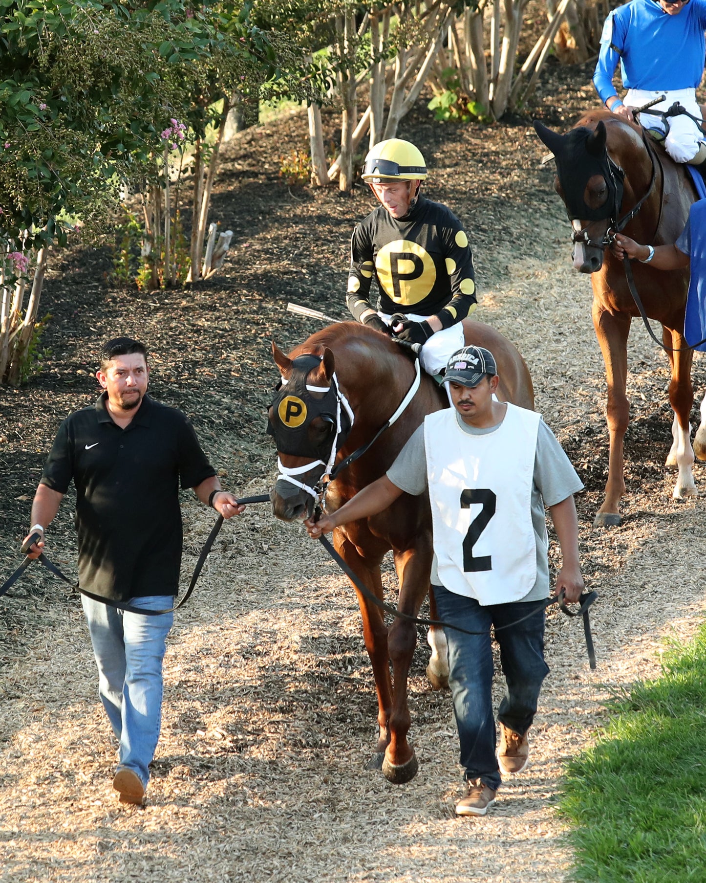 CHASING THE CROWN - The Tight Spot Overnight Handicap - 08-29-26 - R10 - KD - Paddock 02