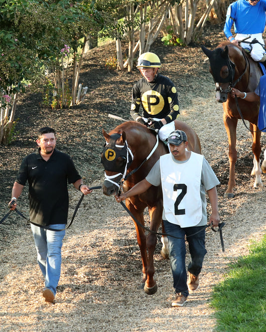 CHASING THE CROWN - The Tight Spot Overnight Handicap - 08-29-26 - R10 - KD - Paddock 02