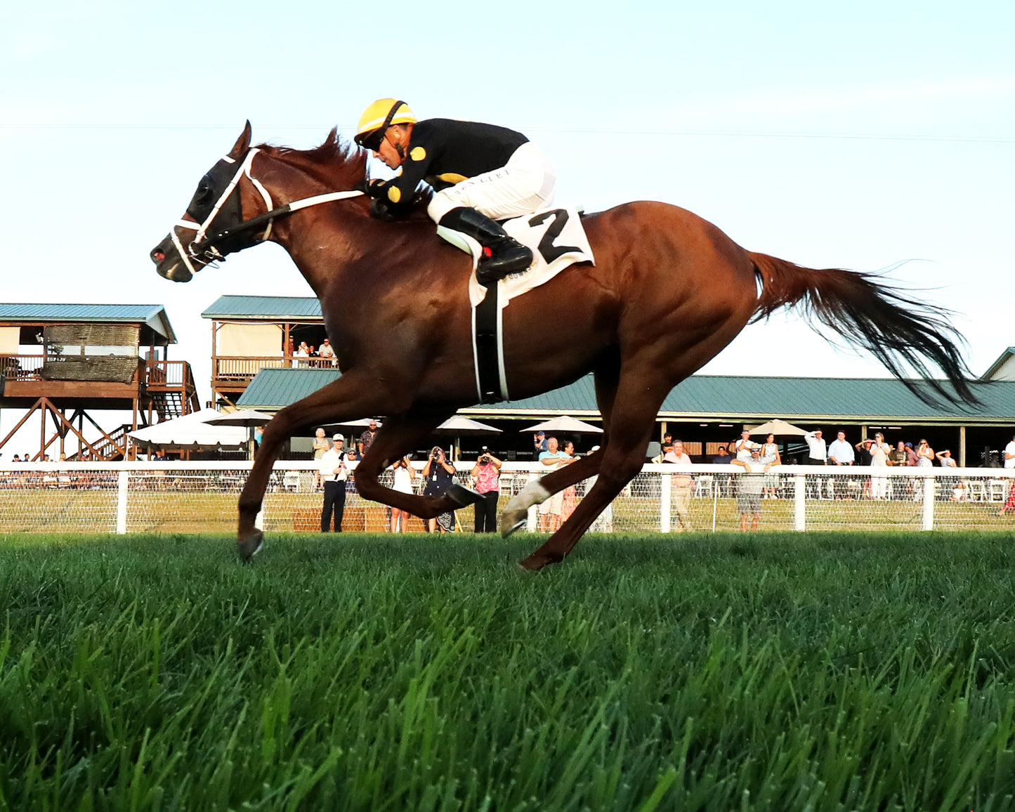CHASING THE CROWN - The Tight Spot Overnight Handicap - 08-29-26 - R10 - KD - Under Rail 01