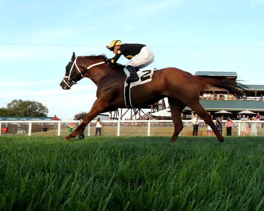 CHASING THE CROWN - The Tight Spot Overnight Handicap - 08-29-26 - R10 - KD - Under Rail 02
