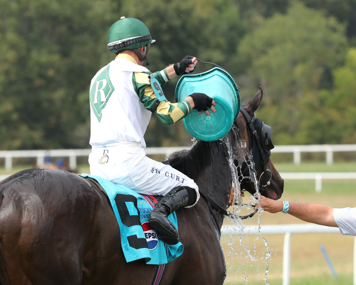 CITRUS SPRINGS - The Kentucky Downs Juvenile Fillies - 09-07-26 - R07 - KD - Come Back 02