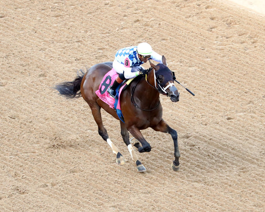 CLARET BERET - Apple Blossom Handicap G1 - 04-11-26 - R10 - OP - Aerial Finish 02 - Coady Media - Kurtis Coady Photography