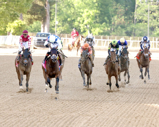 CLARET BERET - Apple Blossom Handicap G1 - 04-11-26 - R10 - OP - Celebration 01 - Coady Media - Kurtis Coady Photography