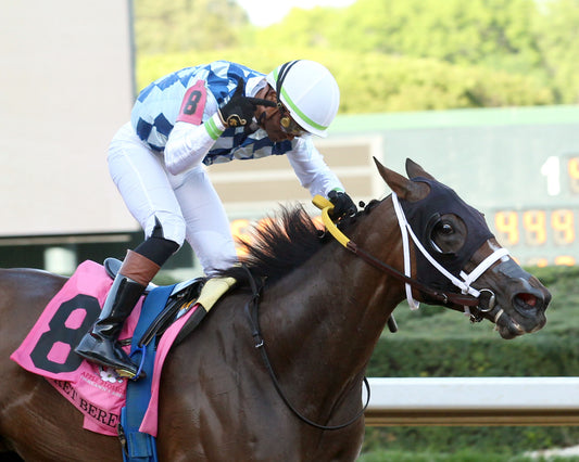 CLARET BERET - Apple Blossom Handicap G1 - 04-11-26 - R10 - OP - Celebration 03 - Coady Media - Kurtis Coady Photography