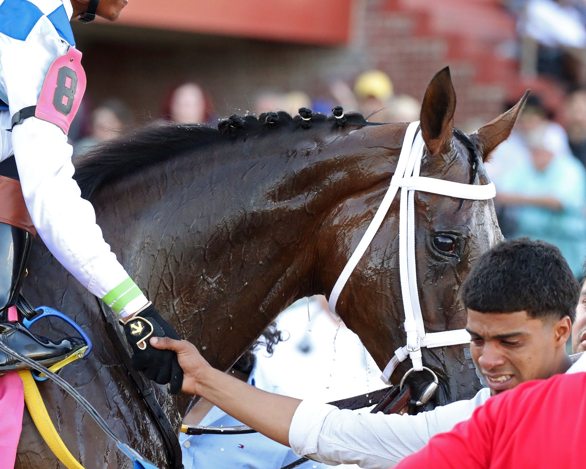 CLARET BERET - Apple Blossom Handicap G1 - 04-11-26 - R10 - OP - Come Back 04 - Coady Media - Kurtis Coady Photography