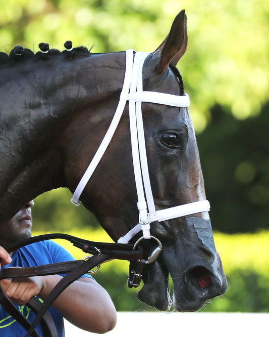 CLARET BERET - Apple Blossom Handicap G1 - 04-11-26 - R10 - OP - Head Shot 01 - Coady Media - Kurtis Coady Photography